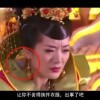 下载app49图库